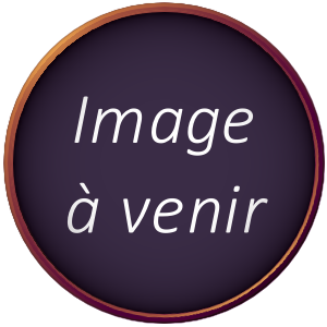 La ville Alchys, capitale de l'Empire d'Onérit